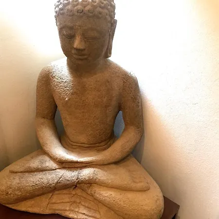 Nosadella - Buddha House Apartment